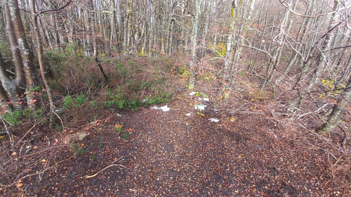 Jornada de Limpieza en el Parque Nacional Nahuel Huapi, cerca de Villa La Angostura