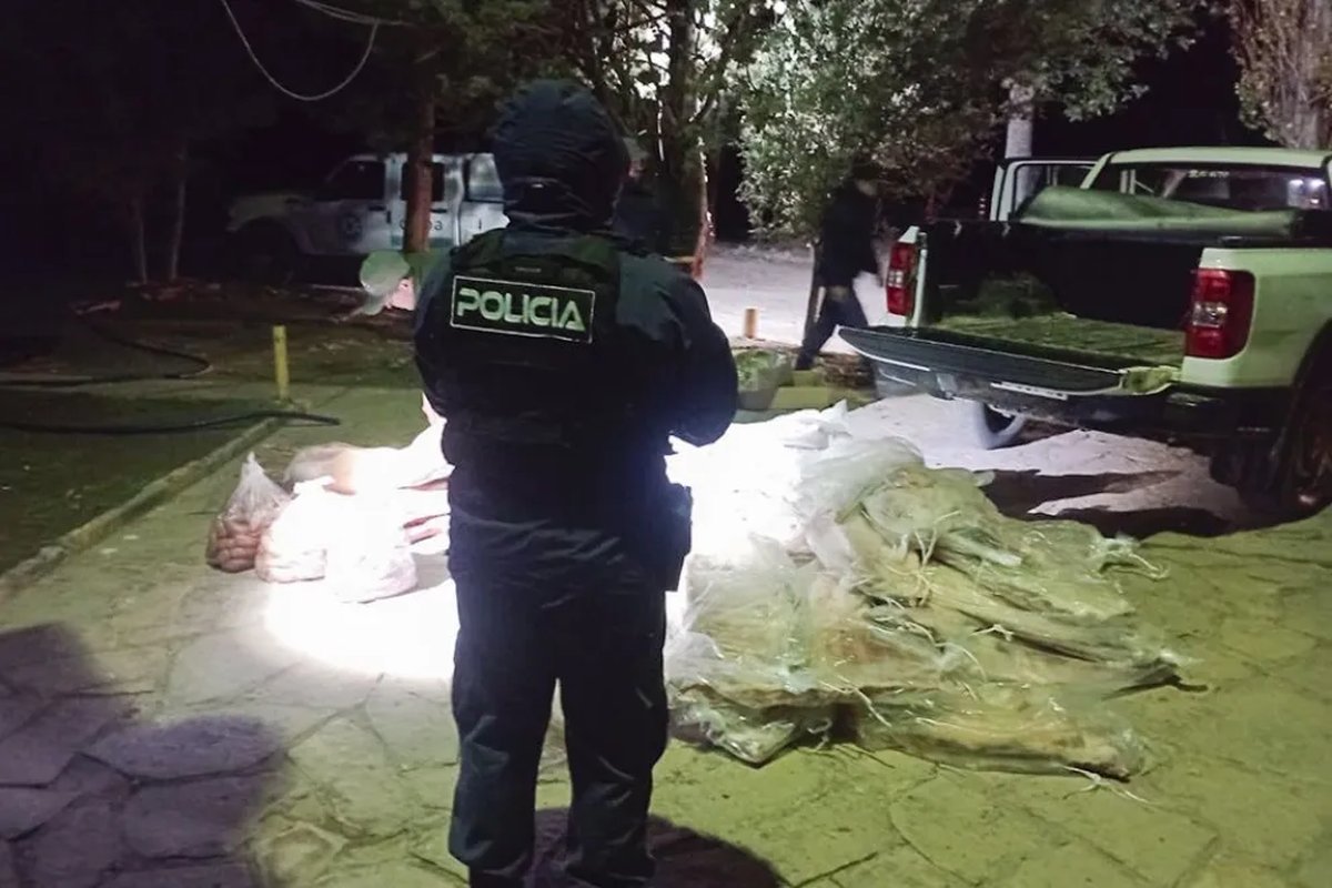 Decomisaron m&aacute;s de 700 kilos de carne que ingresaba a Neuqu&eacute;n ilegalmente