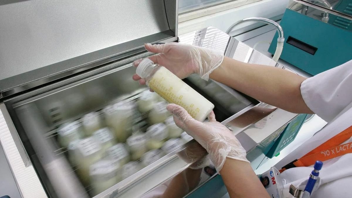 D&iacute;a de la Donaci&oacute;n de Leche Materna: un acto de amor que salva vidas