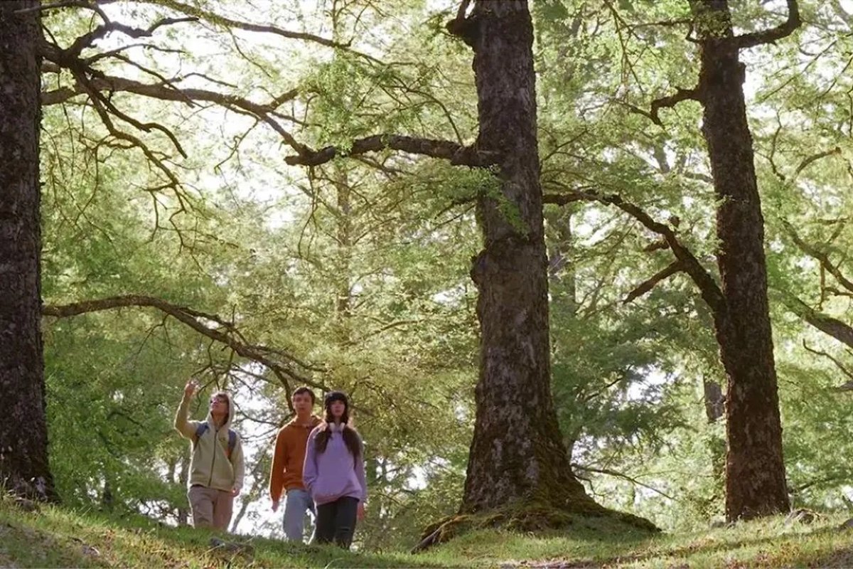Cortometraje de estudiantes de San Mart&iacute;n de los Andes participa en festival internacional