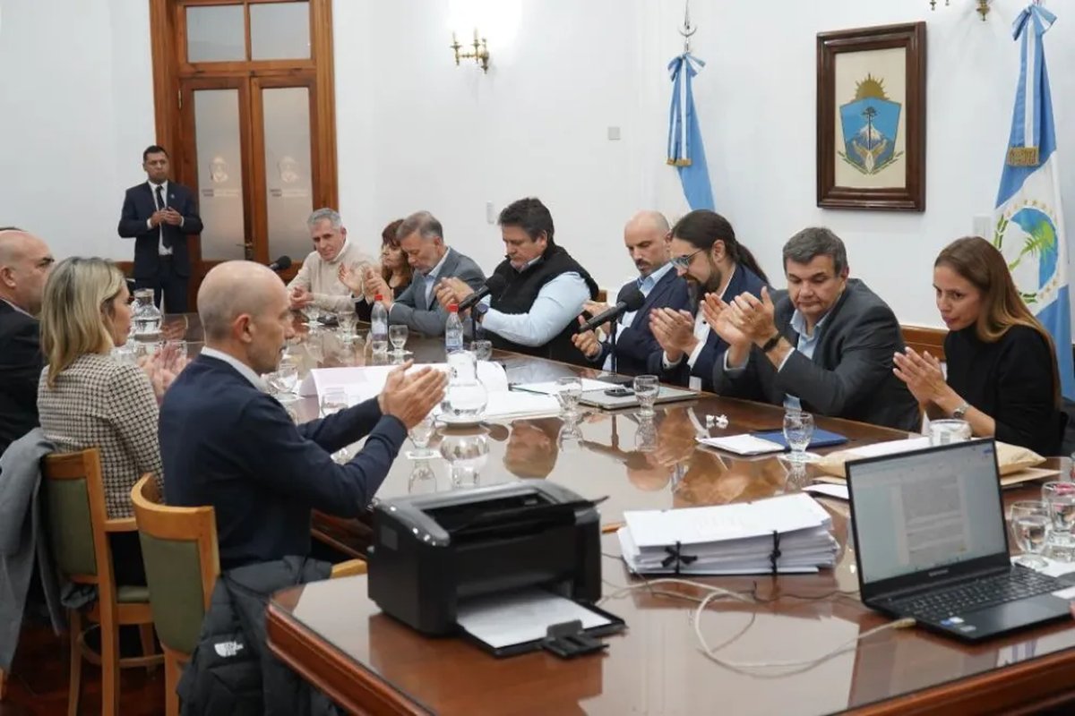Neuqu&eacute;n: tres ofertas para ejecutar obras en el servicio de neonatolog&iacute;a del Hospital Castro Rend&oacute;n