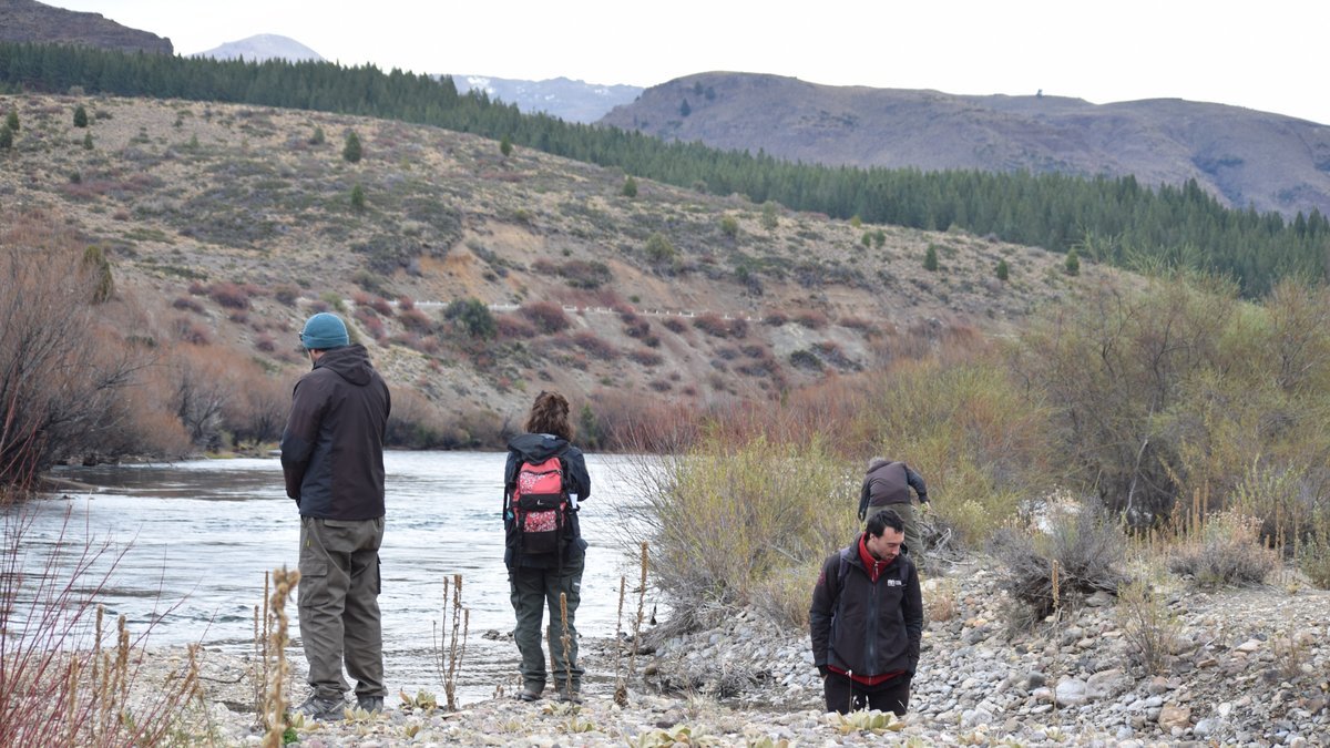 R&iacute;o Negro: monitoreo conjunto para la conservaci&oacute;n del Huill&iacute;n