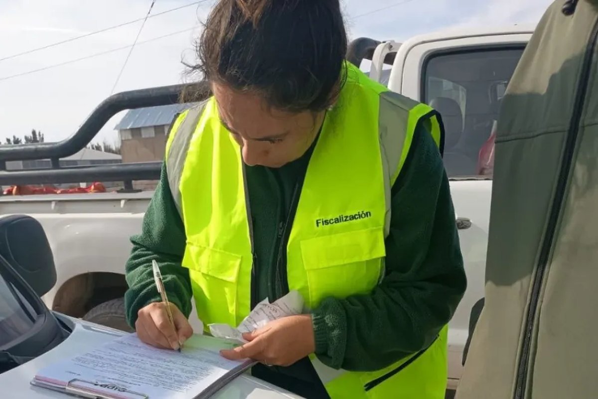 Neuqu&eacute;n: decomisaron 200 kilos de carne sin condiciones sanitarias