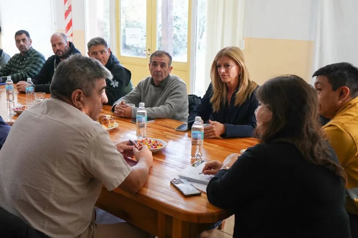 Neuqu&eacute;n, R&iacute;o Negro y Chubut crear&aacute;n un Comando Conjunto contra incendios forestales