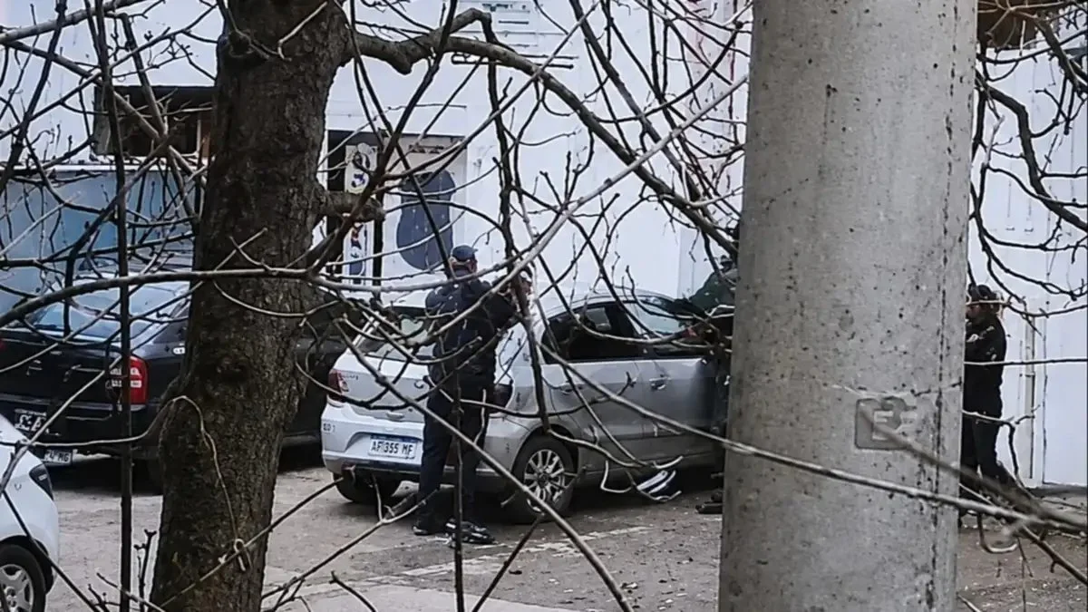Caos en pleno centro de San Martín de los Andes: salió de la cárcel y ...